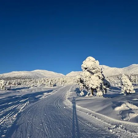 Golden - Panorama I Stryn