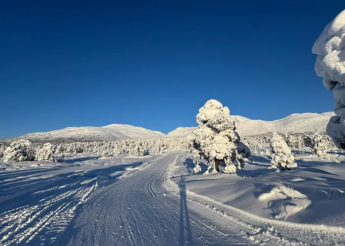 Golden - Panorama I Stryn